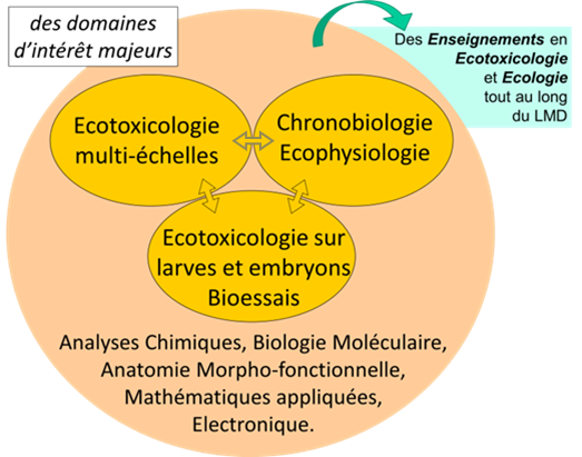 Les domaines d'expertise de l'équipe Ecotoxicologie Aquatique Les domaines d'expertise de l'équipe Ecotoxicologie Aquatique