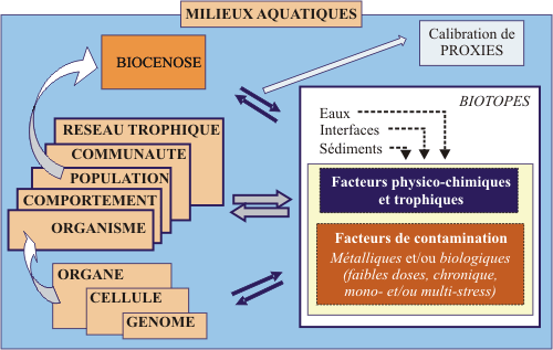 Système conceptuel Système conceptuel