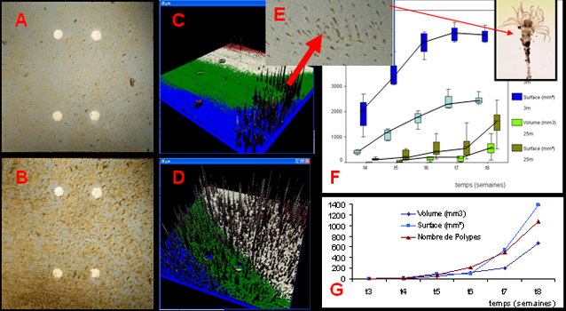 Figure 2 Figure 2