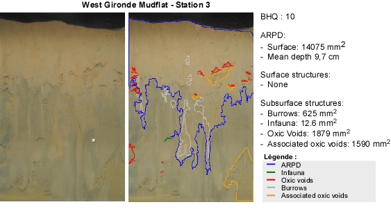 Figure 1 Figure 1