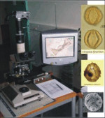 MICROSCOPES MICROSCOPES